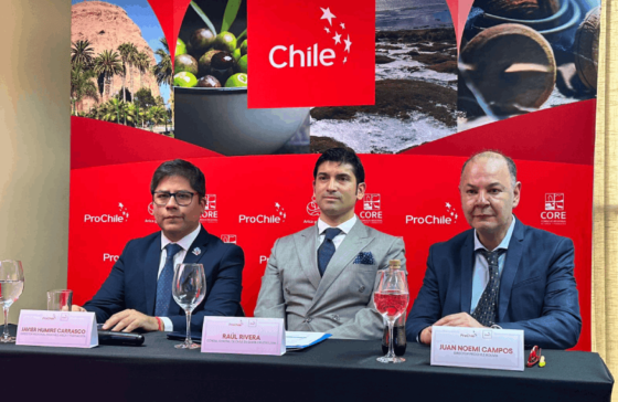 ProChile impulsa oportunidades de negocio para empresas chilenas en Bolivia